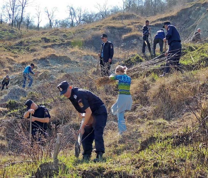 Dâmboviţa: Cadrele ISU au plantat sute de puieţi de salcâm într-o zonă afectată de alunecări de teren