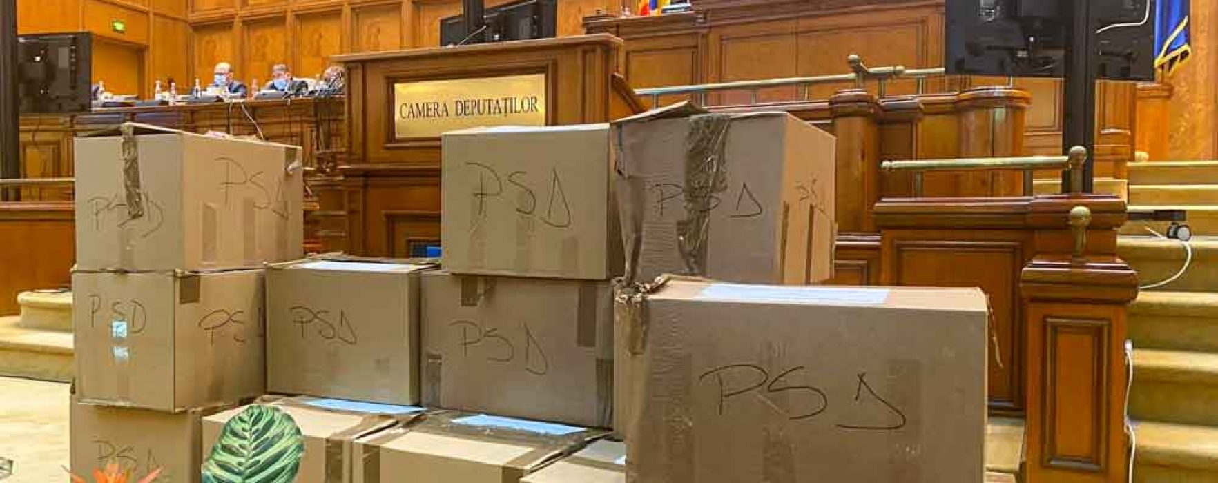 Carmen Holban, PSD: Am votat proiectul de lege privind plafonarea preţurilor la curent şi gaze