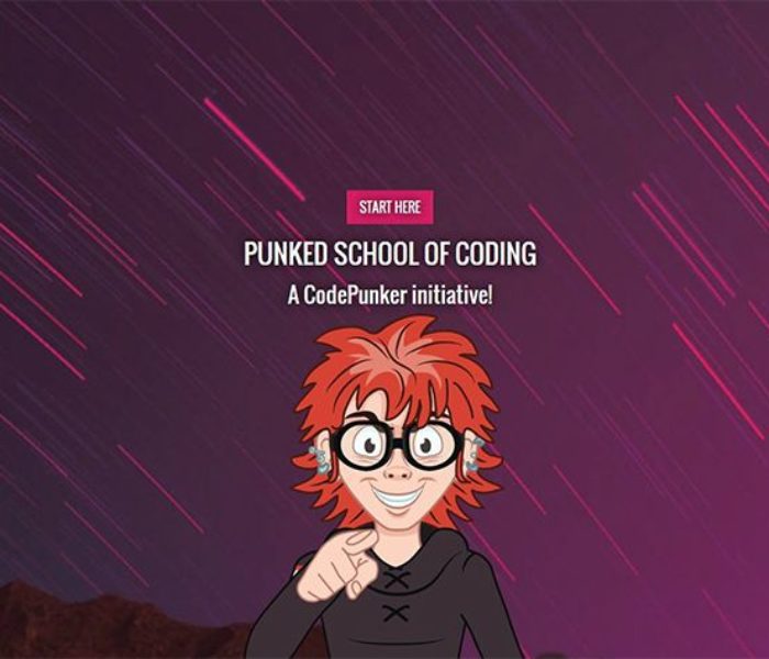 Dâmboviţa: Proiect pentru comunitate – „Punked School of Coding”