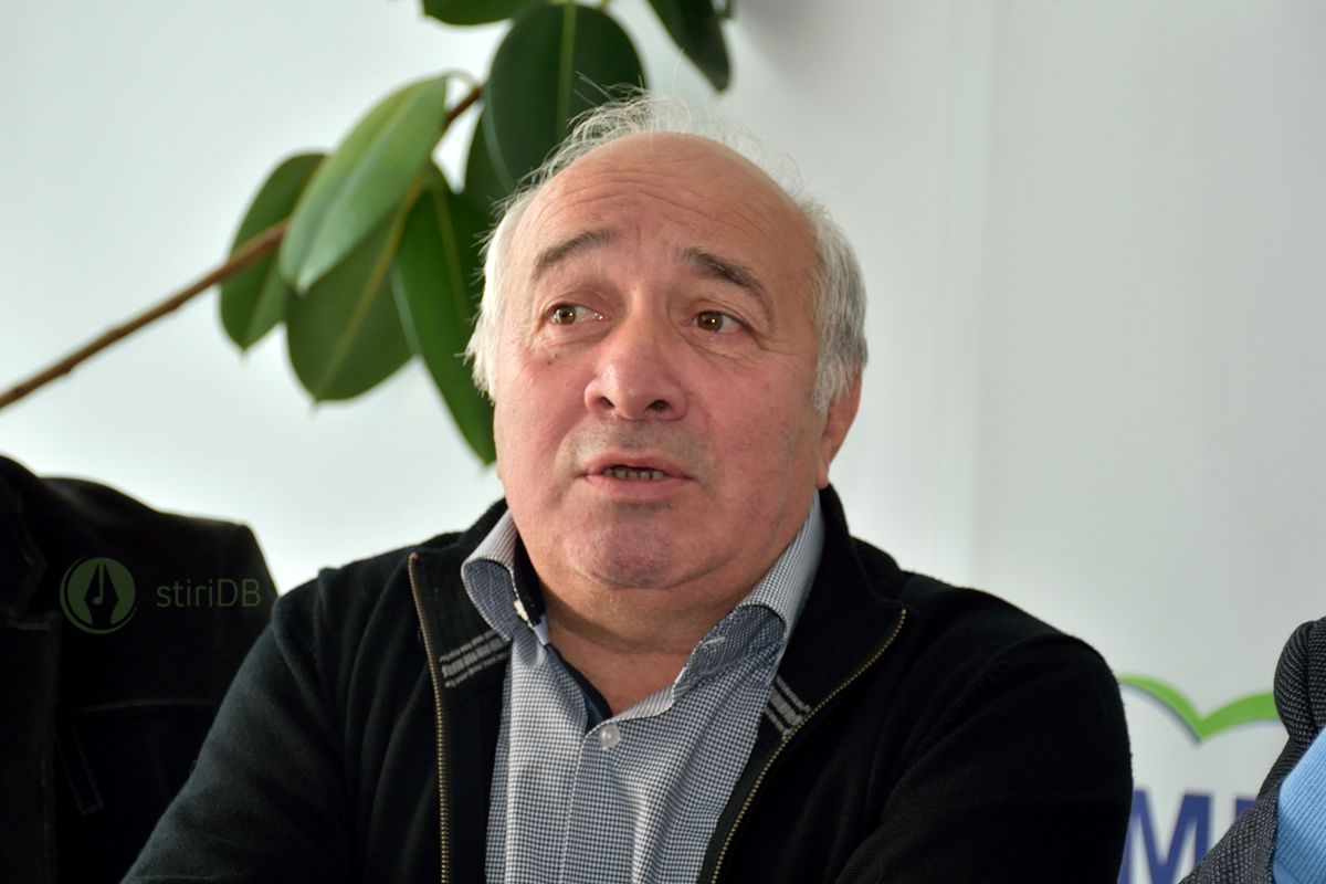 radulescu-pmp-2016