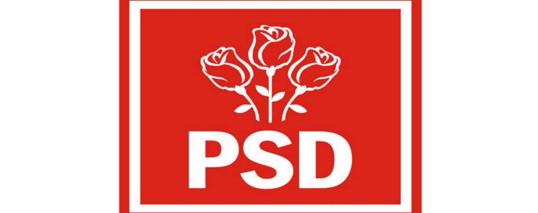 PSD Dâmboviţa îşi propune să obţină peste 50% din voturi la prezidenţiale