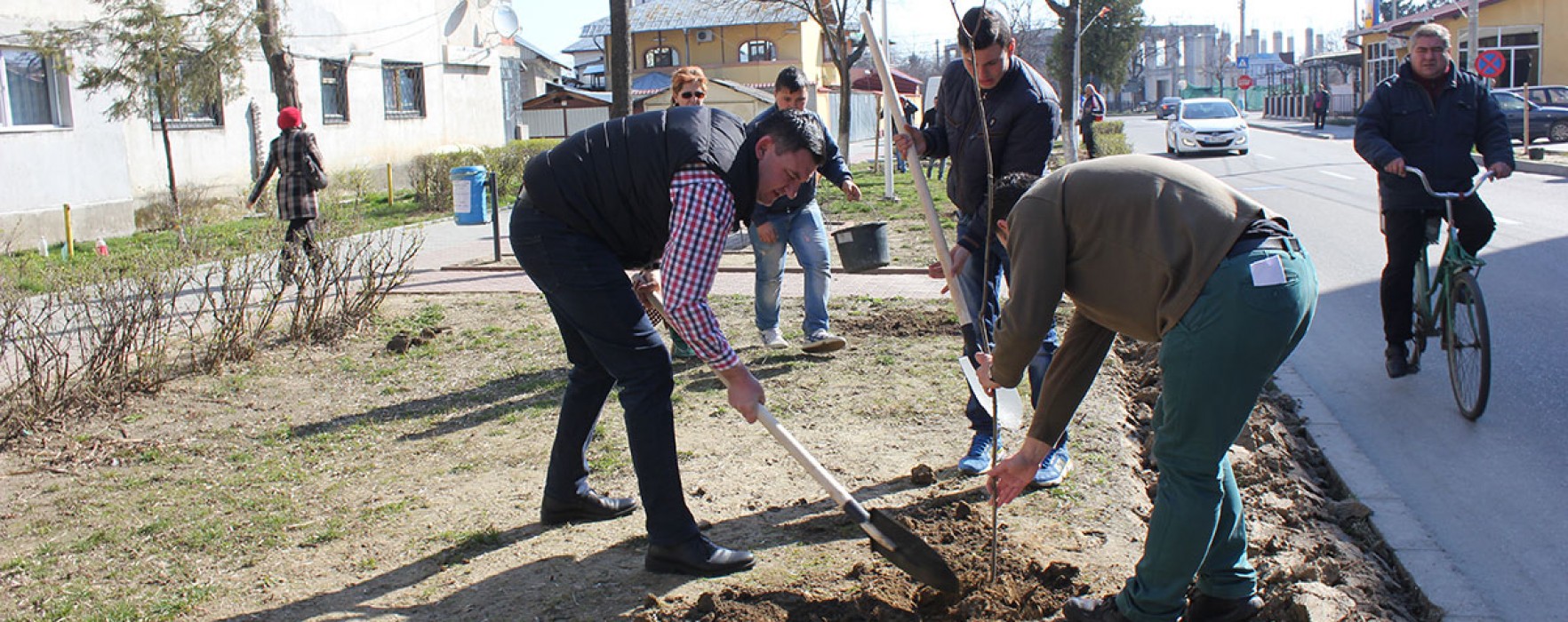 Titu: Acţiune de plantare de arbori