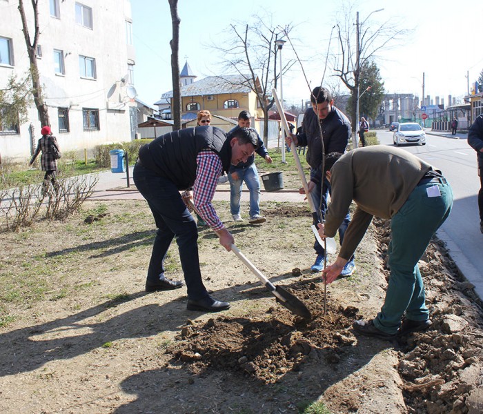 Titu: Acţiune de plantare de arbori