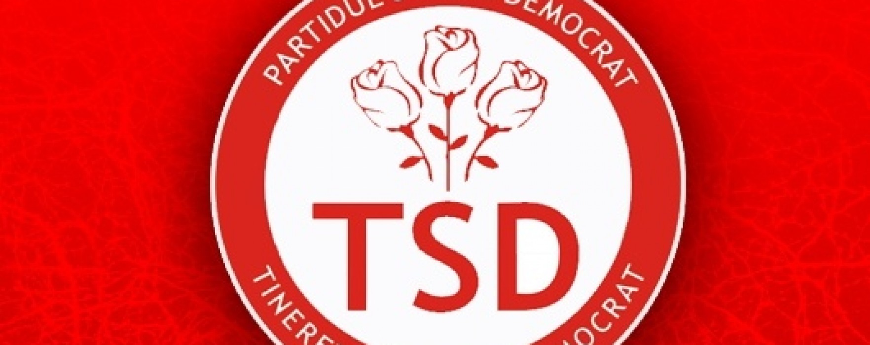 TSD Dâmboviţa: Tinerii social democraţi trebuie să fie mai activi în media şi pe facebook