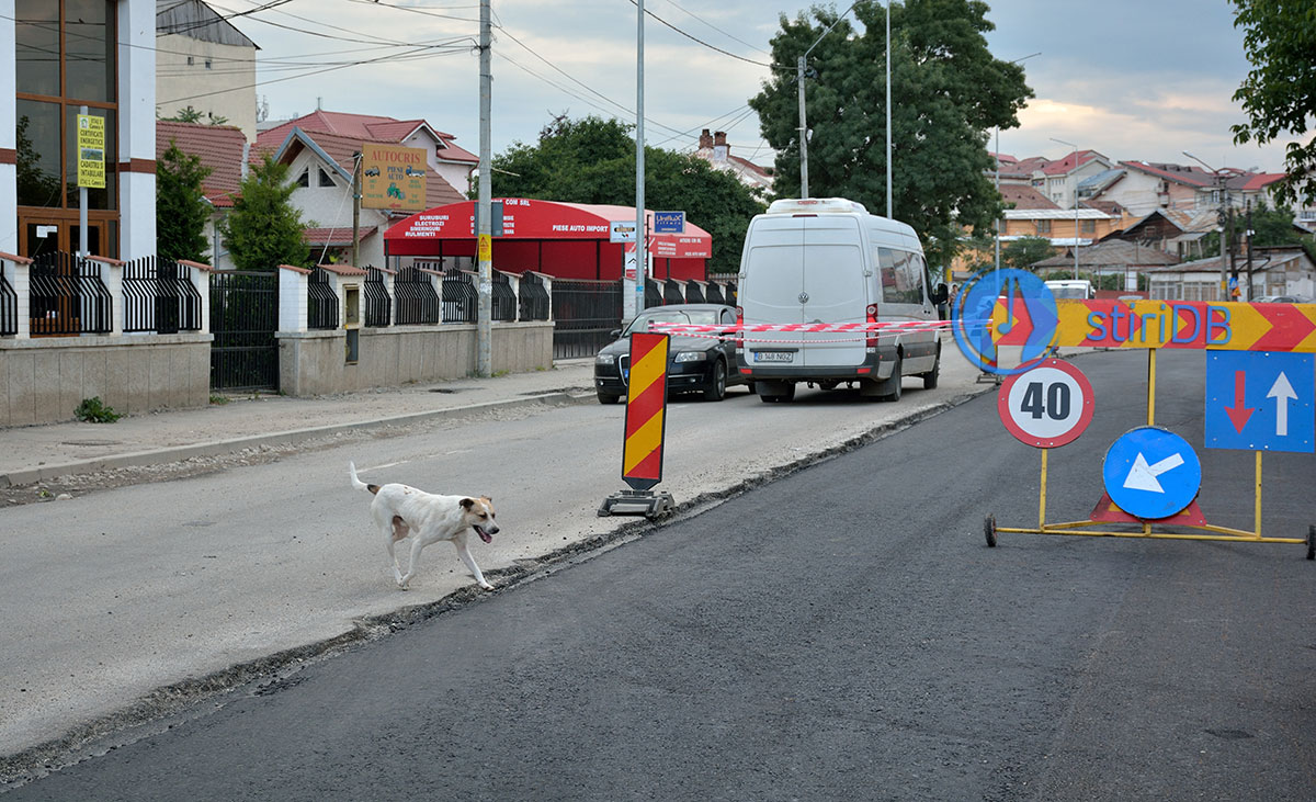 str. Tudov Vladimirescu din Târgoviște, iunie 2015