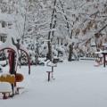 Imagini de iarnă din Târgovişte (foto)