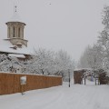 Imagini de iarnă din Târgovişte (foto)